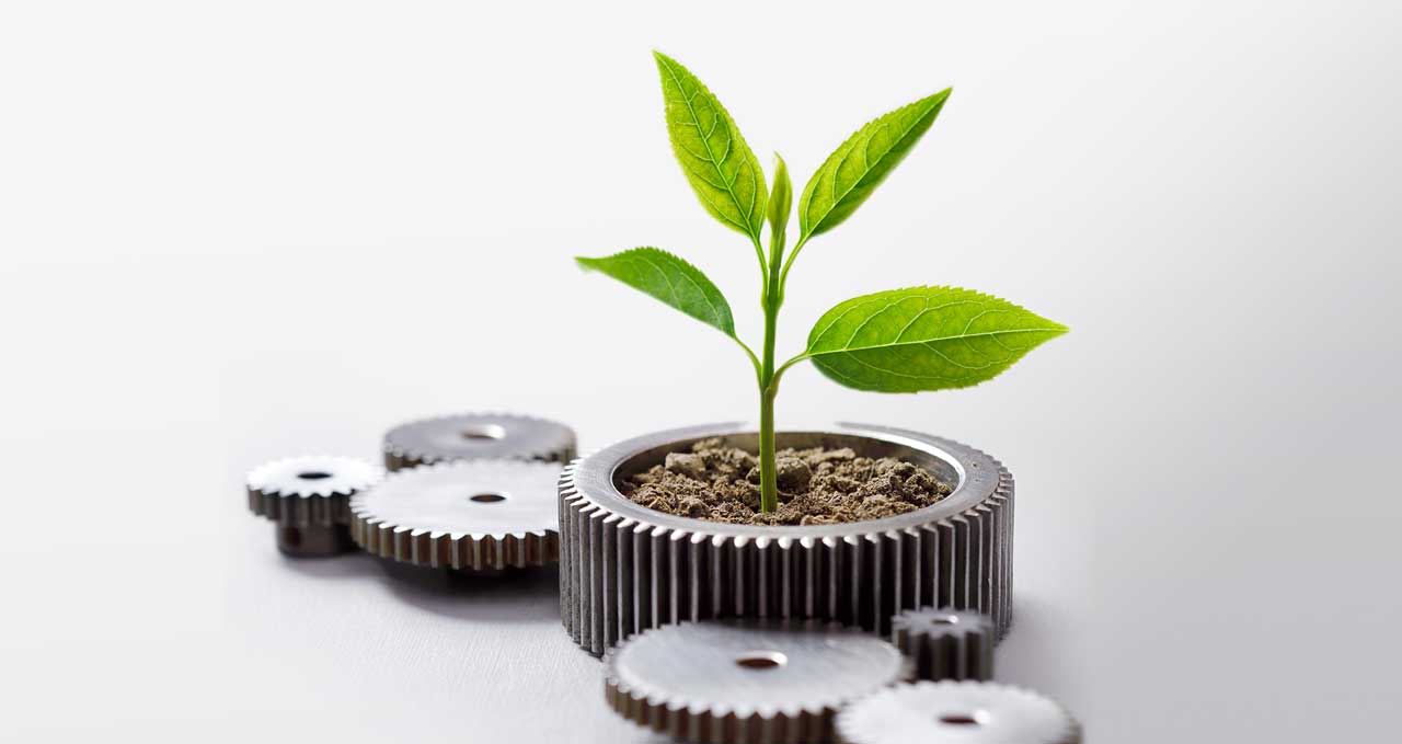 photo illustration of sapling growing out of gears