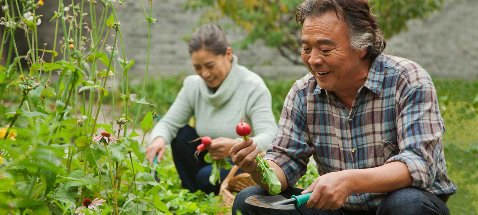 Jim Craigie Center for Joint Replacement Procedures and Services
