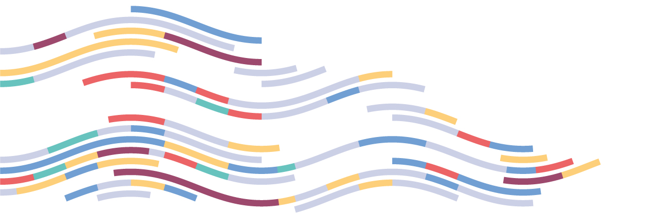 Abstract illustration of wavy lines, segmented in different colors and lengths