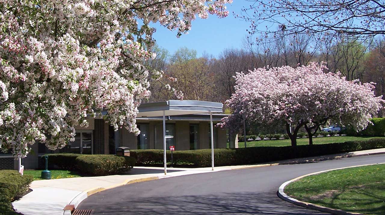 Princeton